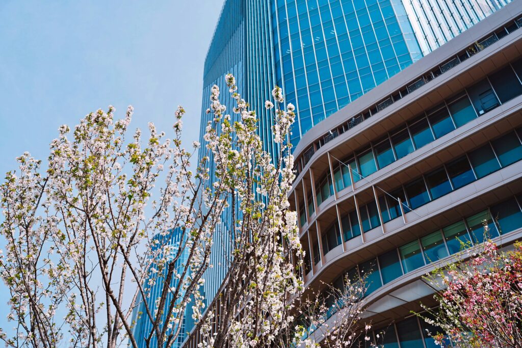 Energy from glass: the role of transparent photovoltaics in sustainable cities