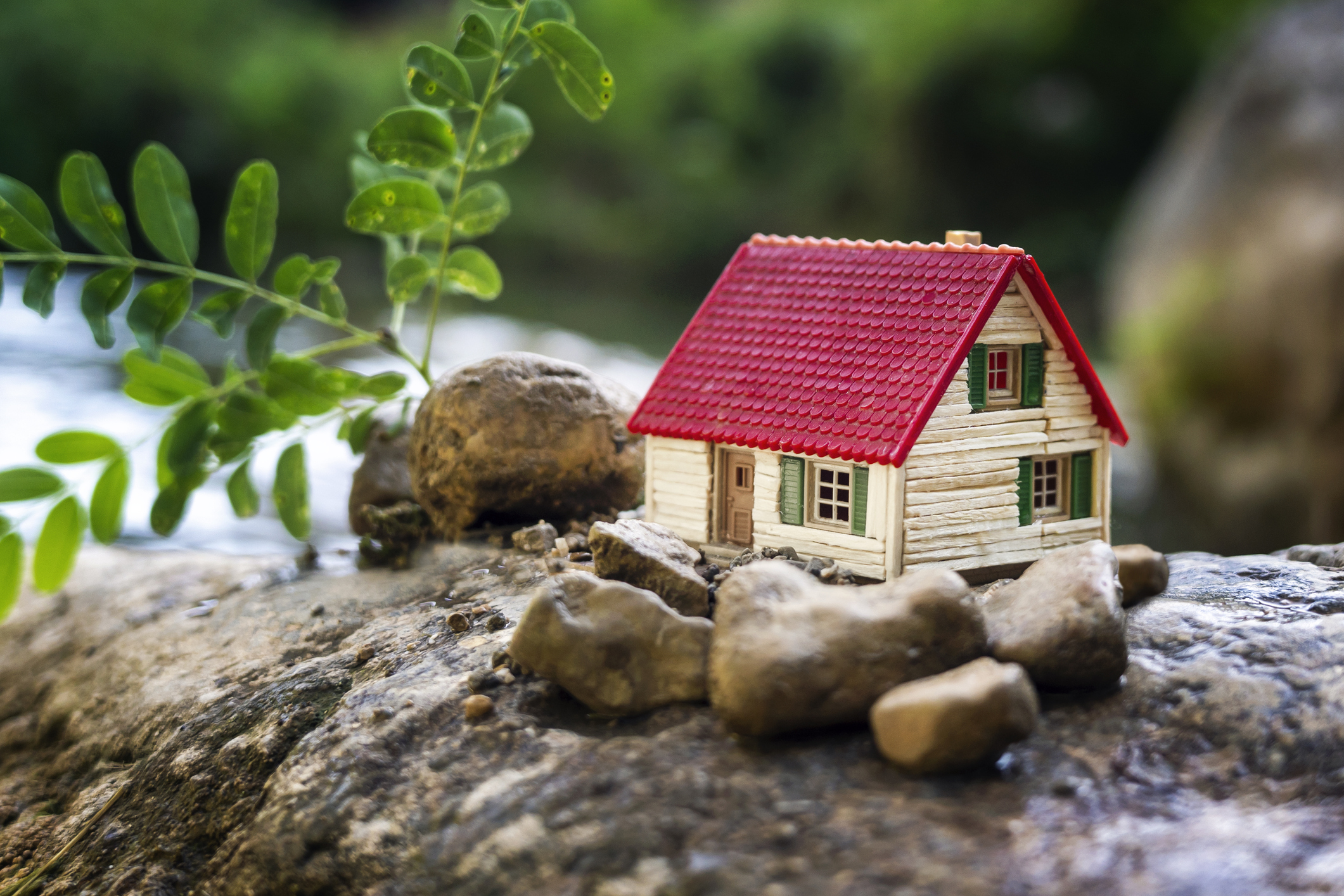 What is micro-living and why is it becoming increasingly common in big cities?