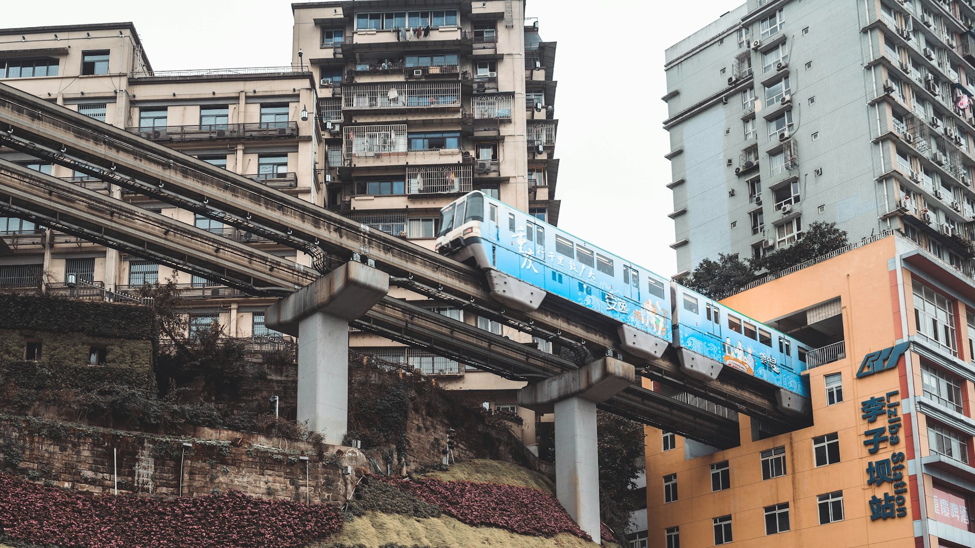 What life is like in Chongqing, the largest city in the world