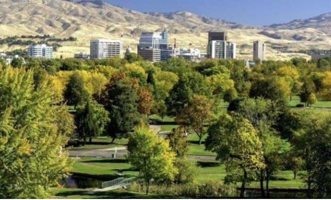 City Forest Credits: How much is a tree worth to a city?