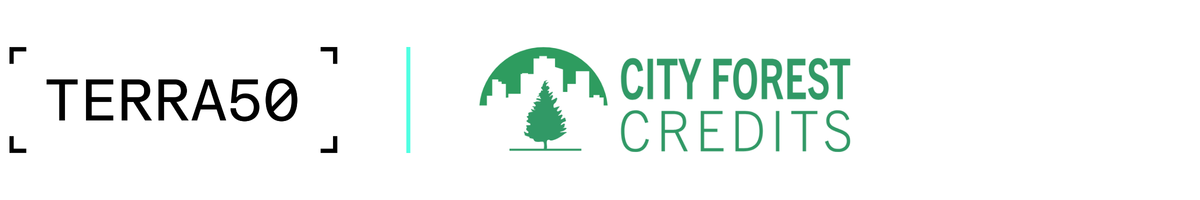 City Forest Credits: how much is a tree worth to a city?