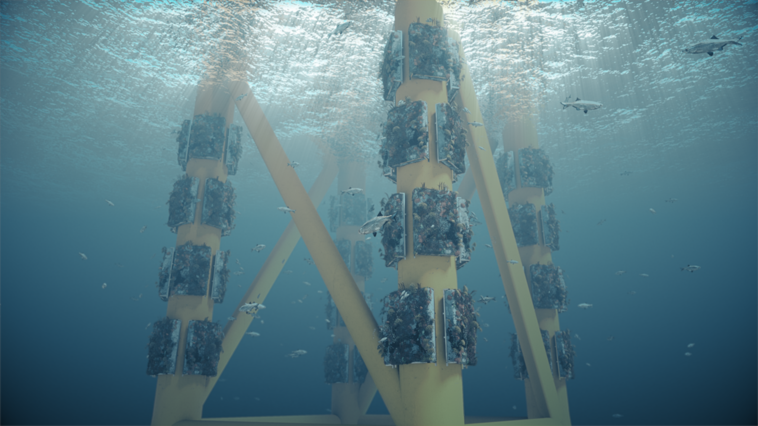 Ocean Ecostructures: what if ports could help regenerate marine life?