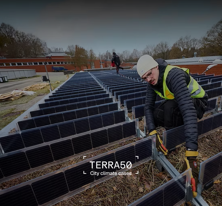 Over Easy Solar: what if a rooftop could be both green and solar?