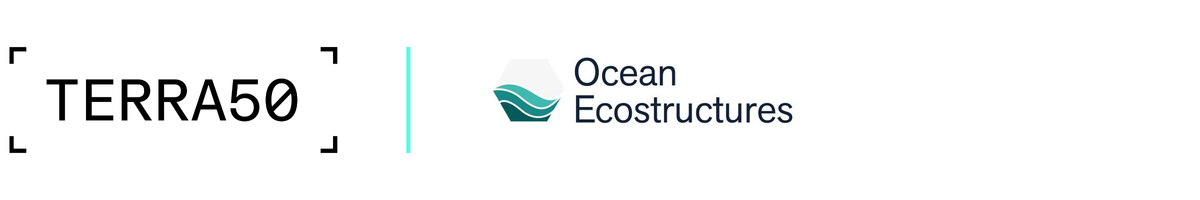 Ocean Ecostructures: what if ports could help regenerate marine life?