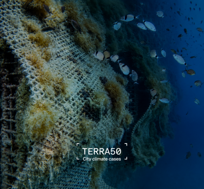 Ocean Ecostructures: what if ports could help regenerate marine life?